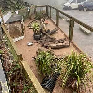 Meerkat enclosure 140224