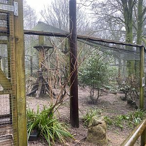 Mixed African aviary 140224