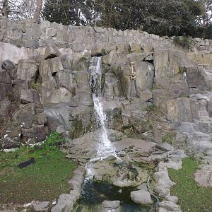 Waterfall in the centre of the zoo