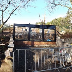 New Gelada viewing area