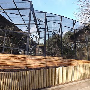 Ex Egyptian Vulture Enclosure