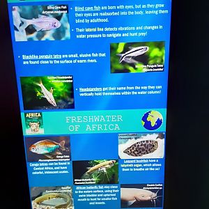 Freshwater Tanks Signage
