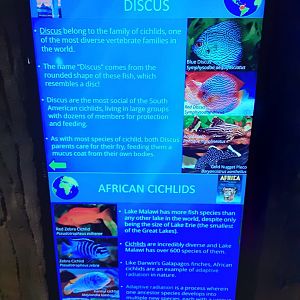 Signage for First Two Tanks