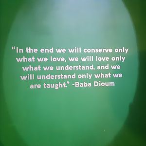 Entry Quote- the first thing you see