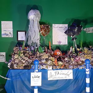 Recycled Materials Art Display