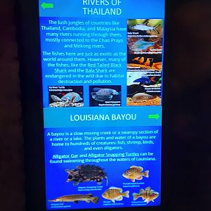 Rivers of Thailand/Louisiana Bayou Signage