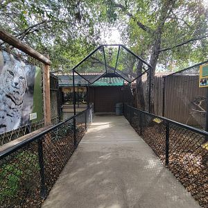 OC Zoo - Path to herps