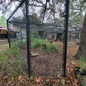 OC Zoo - Ocelot exhibit