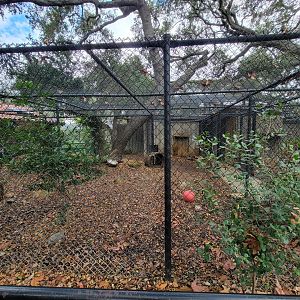 OC Zoo - Ocelot exhibit
