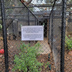 OC Zoo - Sign about old bobcat