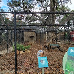 OC Zoo - Bobcat exhibit