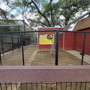 OC Zoo - Children's Zoo, Sulcata tortoise yard in warmer weather