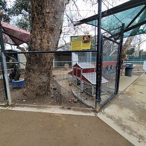 OC Zoo - Children's Zoo, guinea pigs (unseen)