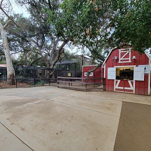 OC Zoo - Children's Zoo, bobcat on left and black and white tegu in building on right