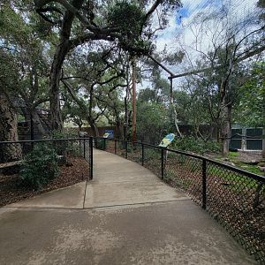 OC Zoo - Path through birds of prey