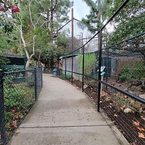 OC Zoo - Path