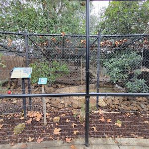 OC Zoo - Raccoon exhibit