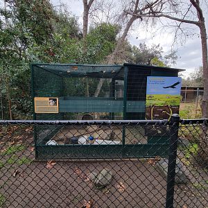OC Zoo - Black-tailed prairie dogs