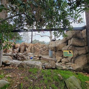 OC Zoo - American crow and beaver exhibit