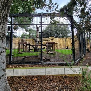 OC Zoo - American black bear exhibit