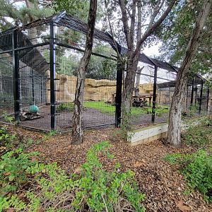 OC Zoo - American black bear exhibit