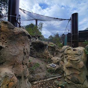 OC Zoo - Cougar exhibit #2