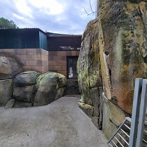 OC Zoo - Indoor viewing for jaguar exhibit #1
