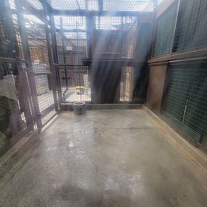 OC Zoo - Indoor viewing for jaguar exhibit #1