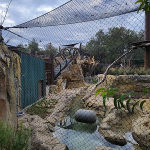 OC Zoo - Jaguar exhibit #1