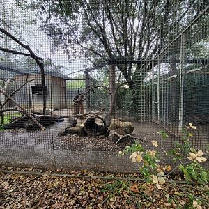 OC Zoo - North American porcupine and turkey vulture