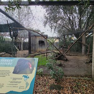 OC Zoo - North American porcupine and turkey vulture