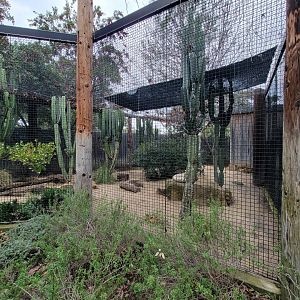 OC Zoo - San Joaquin kit fox exhibit