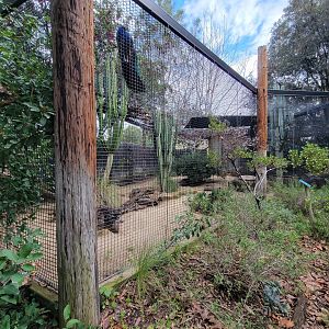 OC Zoo - San Joaquin kit fox exhibit