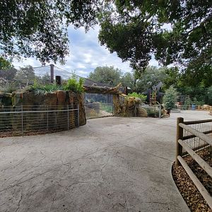 OC Zoo - Jaguar exhibit #1, black jaguar