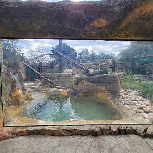 OC Zoo - Jaguar exhibit #1, black jaguar