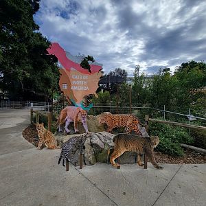 OC Zoo - Cats of North America