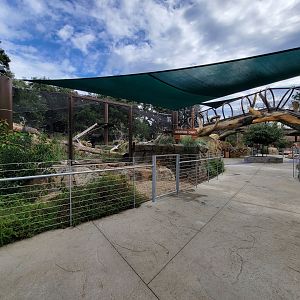 OC Zoo - Jaguar exhibit #1, black jaguar