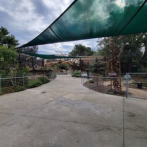 OC Zoo - Path between jaguar exhibits