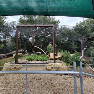 OC Zoo - Jaguar exhibit #2