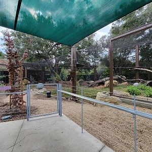 OC Zoo - Jaguar exhibit #2