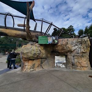 OC Zoo - Jaguar exhibit #1 viewing window
