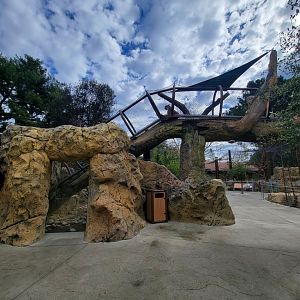 OC Zoo - Cougar exhibit #2