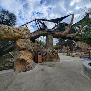 OC Zoo - Cougar exhibit #2