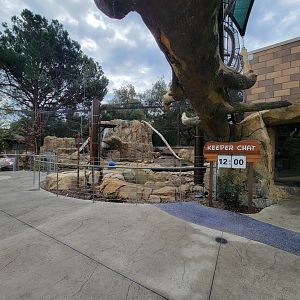 OC Zoo - Cougar exhibit #3, with indoor viewing window