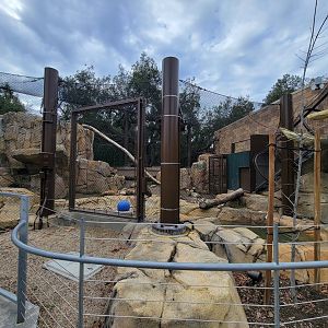 OC Zoo - Cougar exhibit #3
