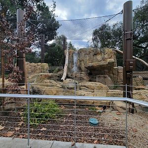 OC Zoo - Cougar exhibit #3