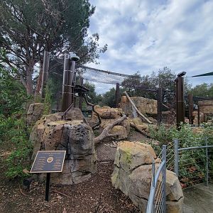 OC Zoo - Cougar exhibit #3