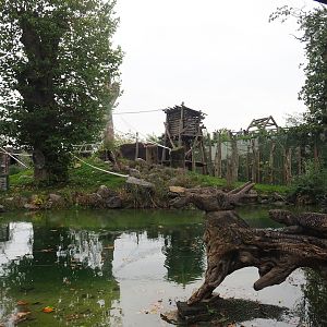 Sumatran orangutan island, 2023-10-13