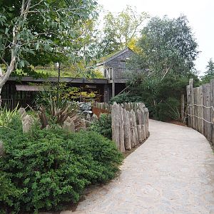 Road to koala house, 2023-10-13