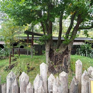 Outdoor exhibit next to the koala house, 2023-10-13